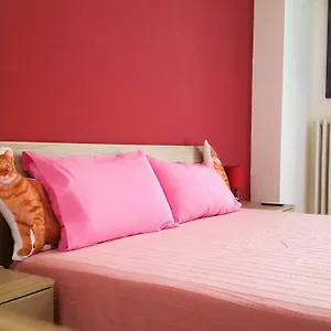 cats-room.lecce-hotels.com/
